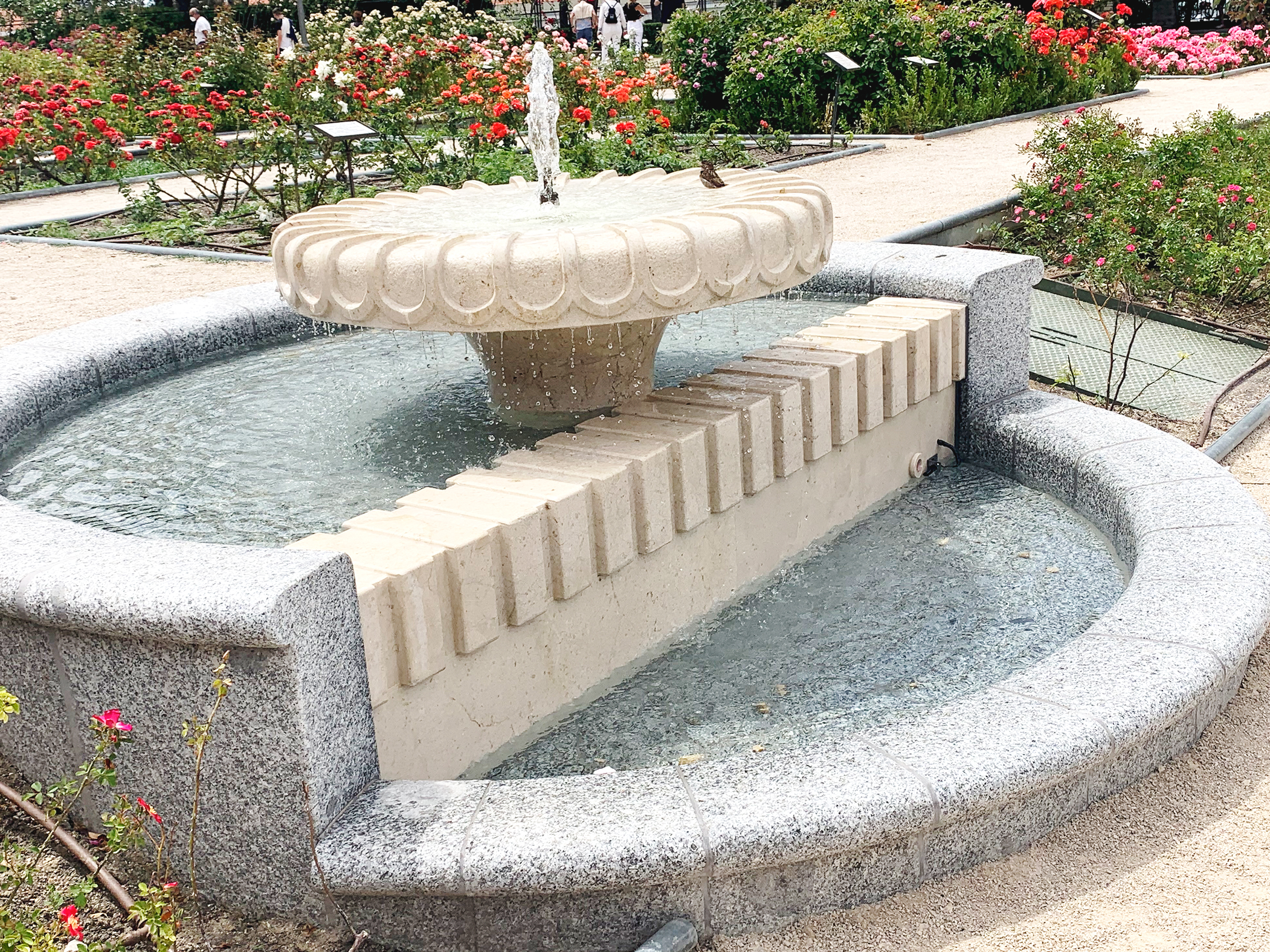 Jardín en piedra 2