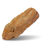 Arenisca